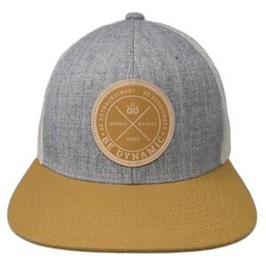 Be Extraordinary Be Passionate Be Dynamic Trucker Hat Multi OS Dynamic Discs